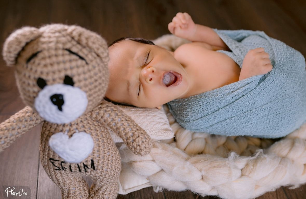 Teddy Bear Toy