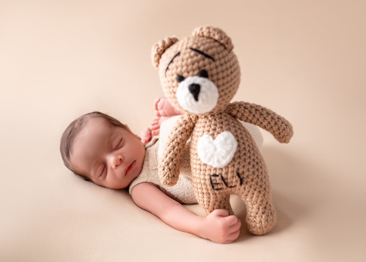 Teddy Bear Toy