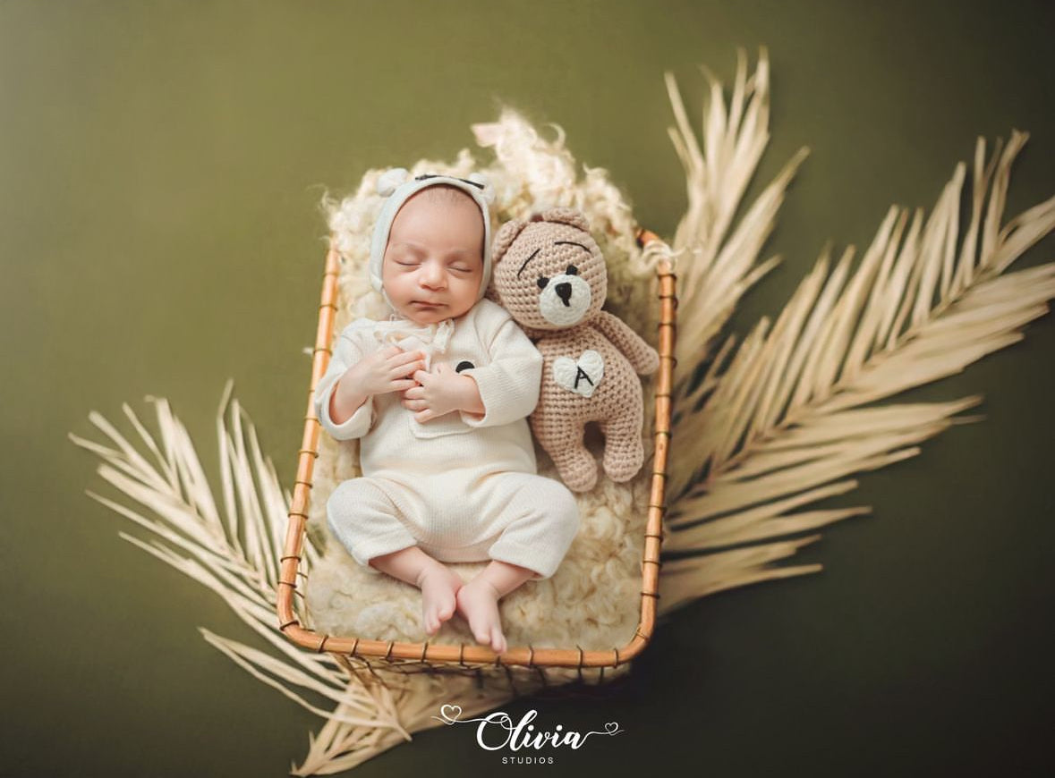 Teddy Bear Toy