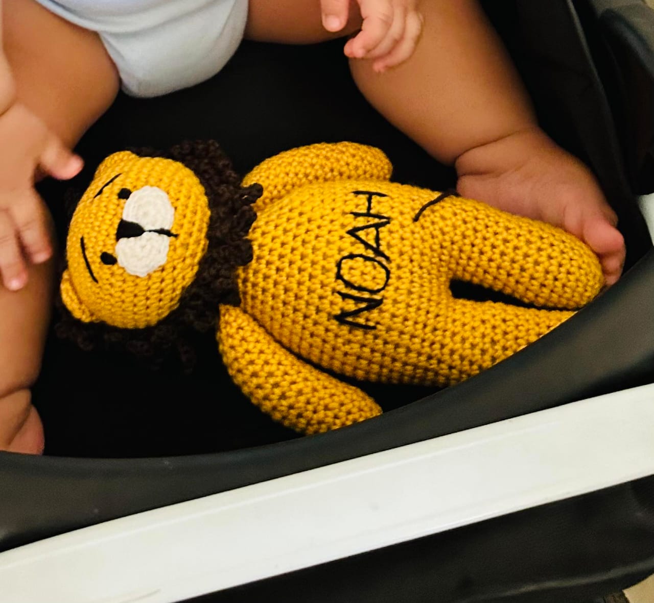 Lion Toy