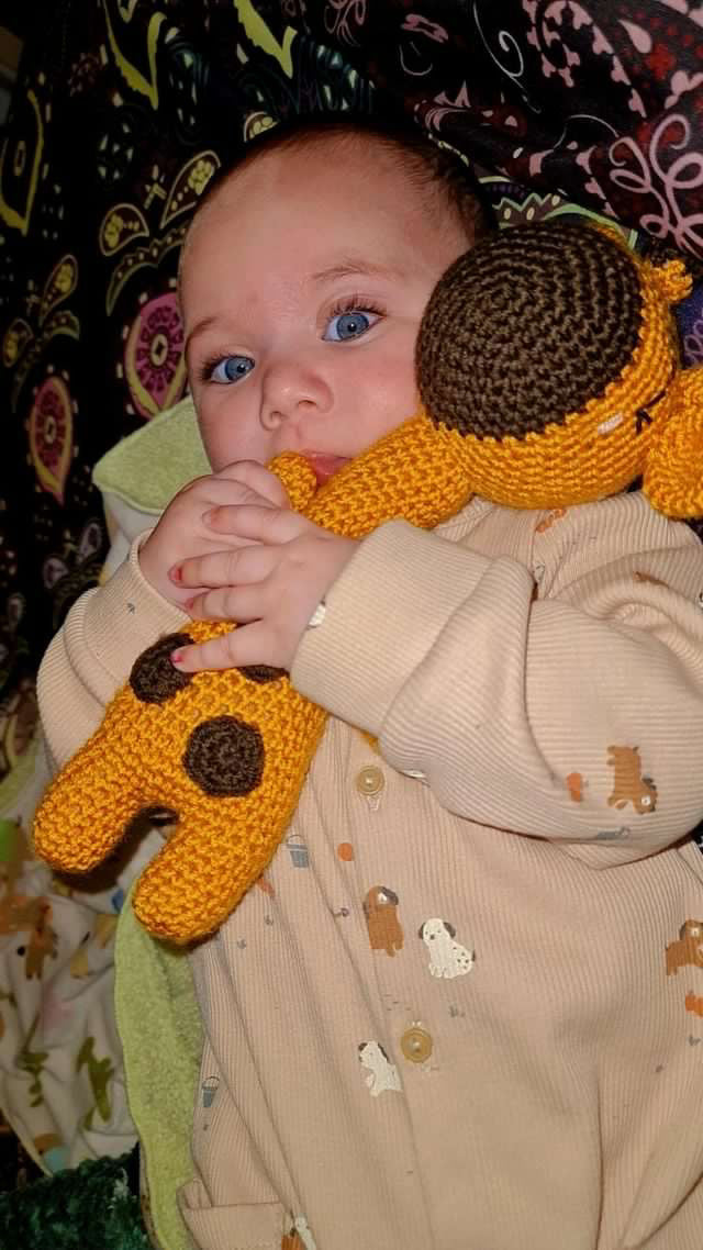 Giraffe Toy