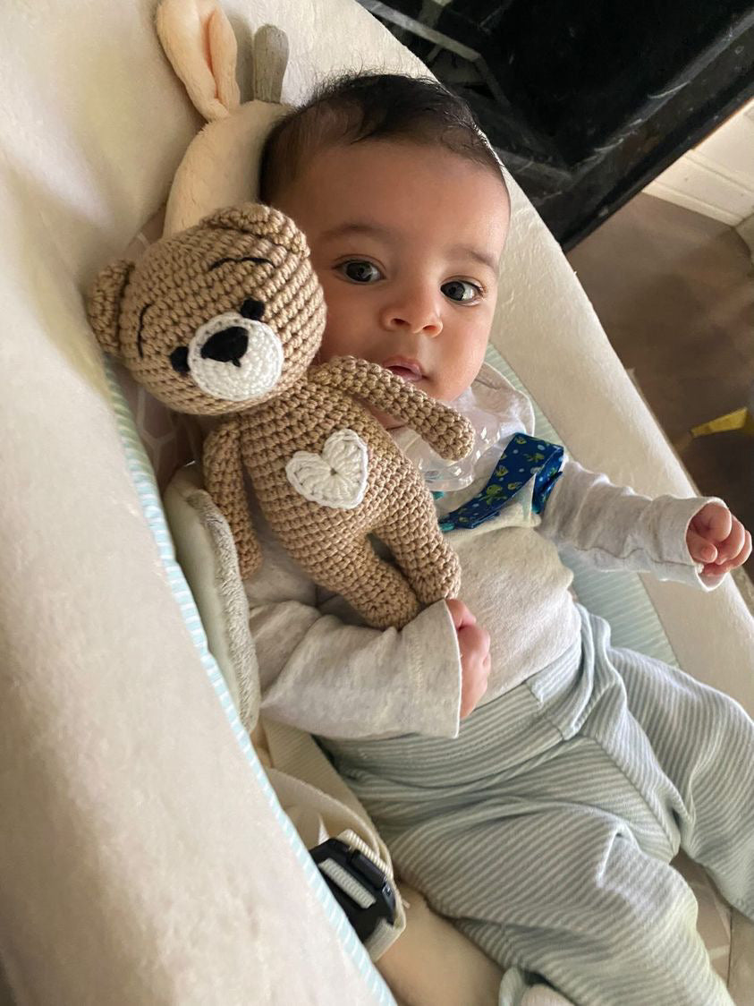 Teddy Bear Toy