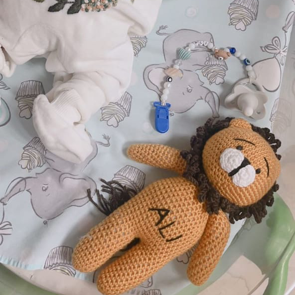 Lion Toy
