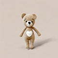 Teddy Bear Toy
