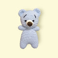 Tiny Teddy Boy Toy